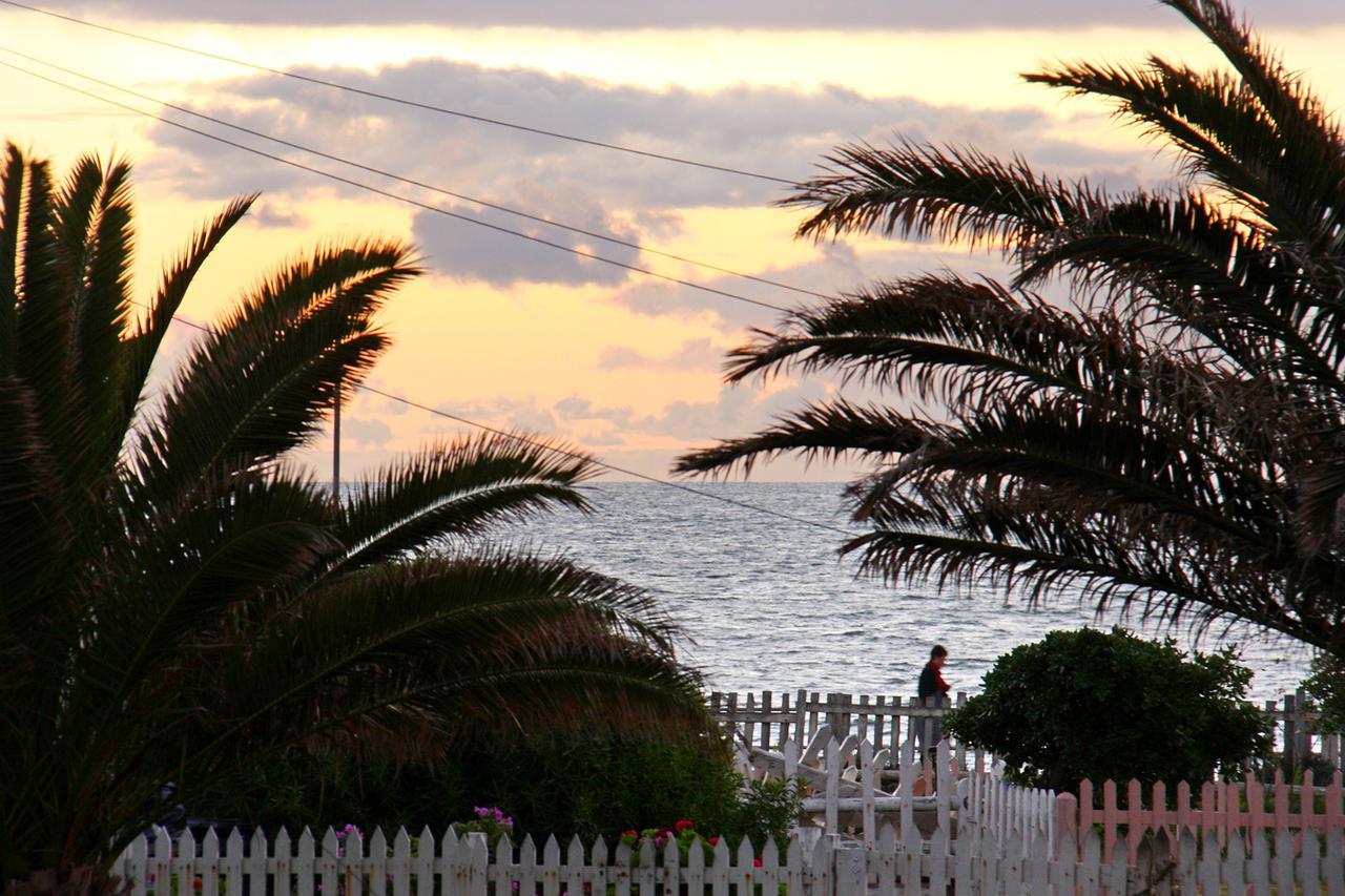 Afribode'S Adenium Beachfront Daire Cape Town Dış mekan fotoğraf